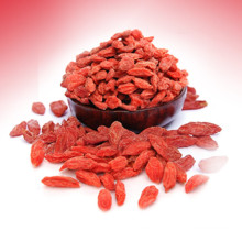 Lycium barbarum de baies de goji séchées et certifiées biologiques